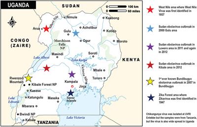 Emerging Viral Infections in Sub-Saharan Africa and the Developing Nervous System: A Mini Review